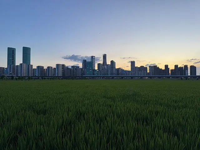 2026 Xianghu semi-marathon — photo de la course