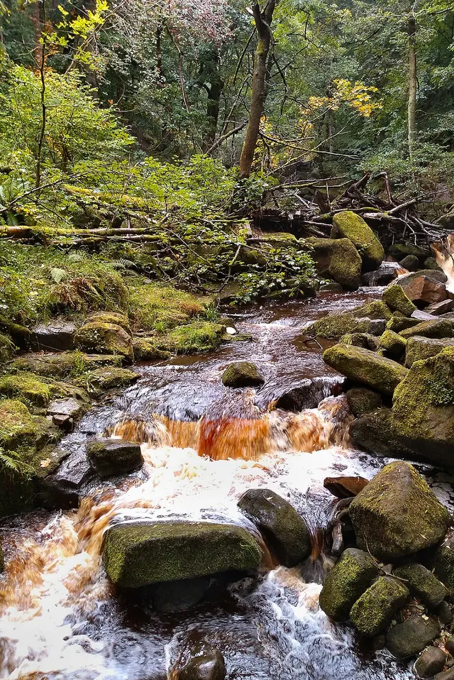 Gorge Waterfalls Laufbild