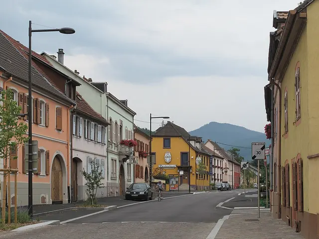 Løbsbillede fra Les Courses de Wintzenheim