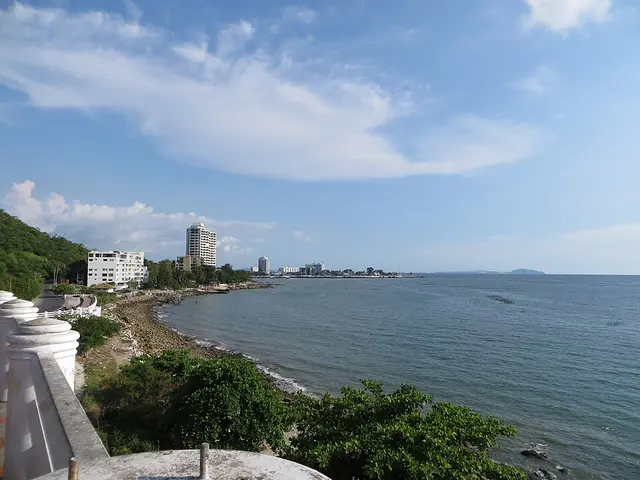 방사엔21 대회 사진