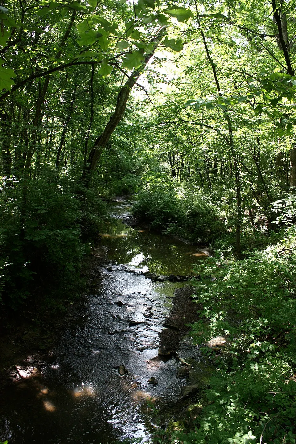 The Midwest Ultra Trail Classic race photo