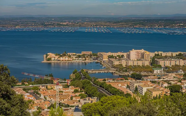 Semi-Marathon de Sète — foto de la carrera