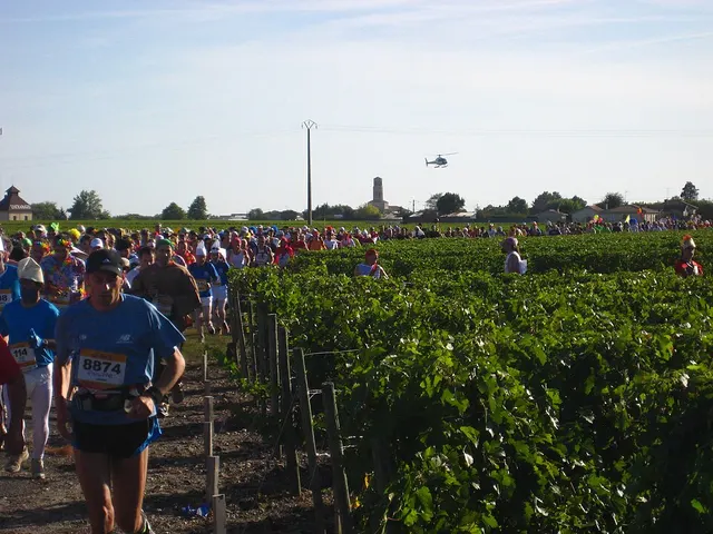 Marathon du Médoc race photo
