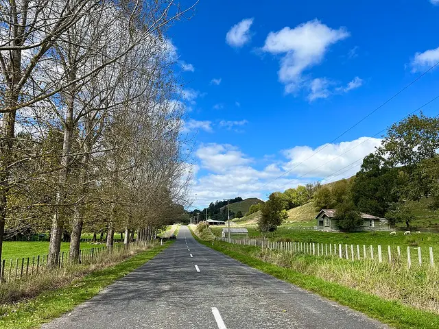 New Zealand Road Relay Championships Laufbild