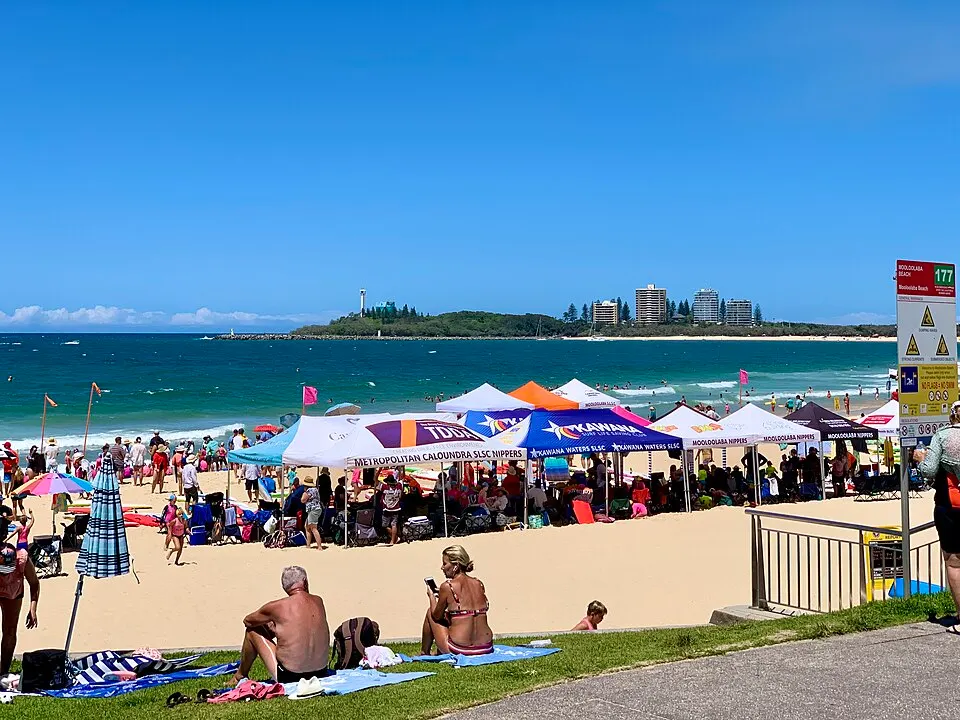 Ảnh giải Sunshine Coast Marathon Festival
