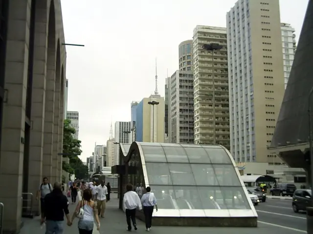 Ảnh giải Maratona Internacional de São Paulo