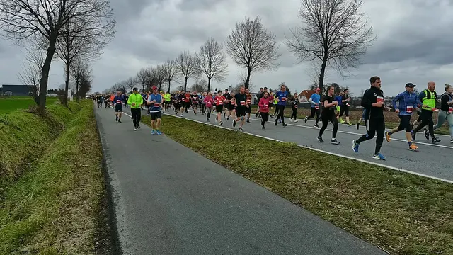 Ảnh giải Silvesterlauf Werl-Soest