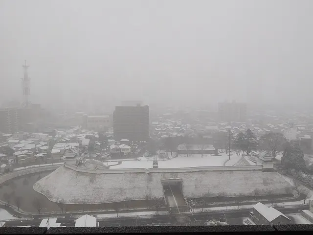 제40회 우쓰노미야 마라톤 대회 대회 사진