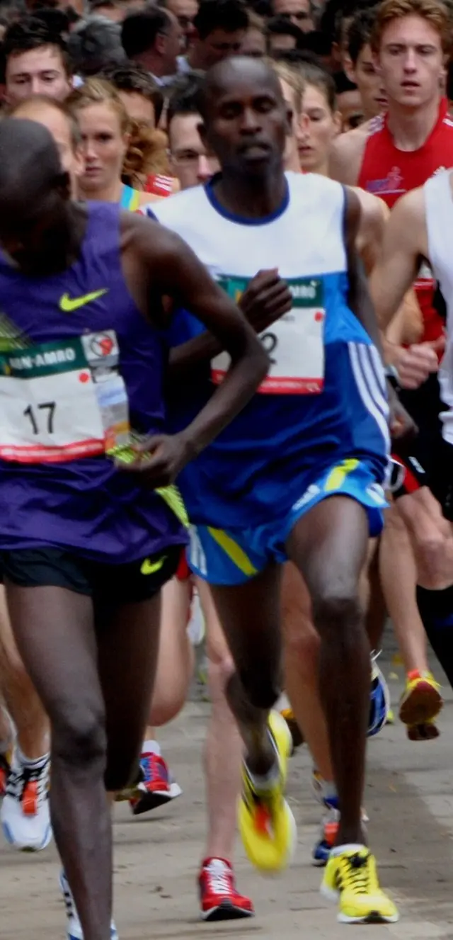 Ảnh giải Singelloop Utrecht