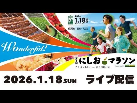 5e Marathon de Nishio — photo de la course