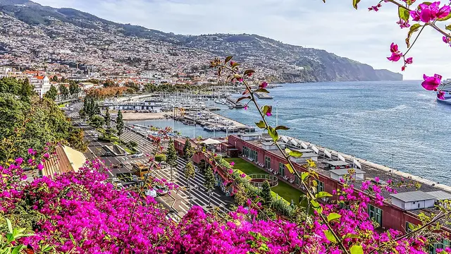 Funchal Marathon Laufbild