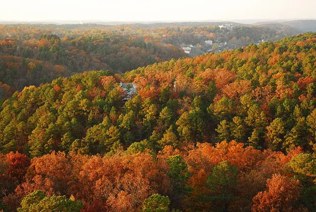 Outback in the Ozarks 205 Mile Relay Laufbild