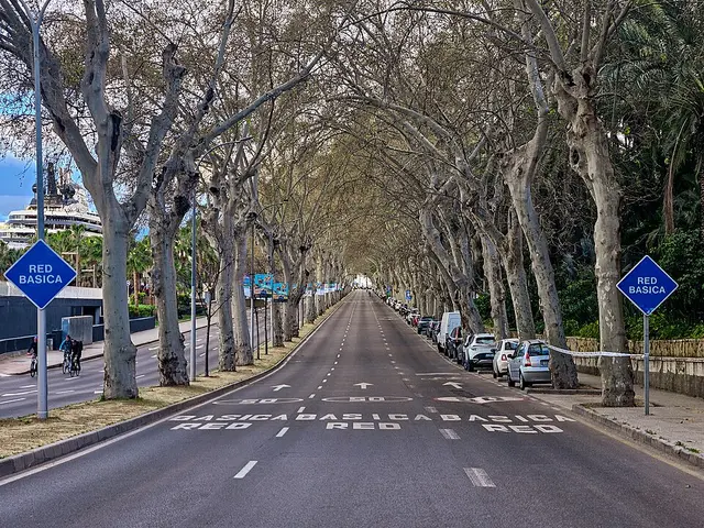 Media Maratón Ciudad de Málaga — foto de la carrera