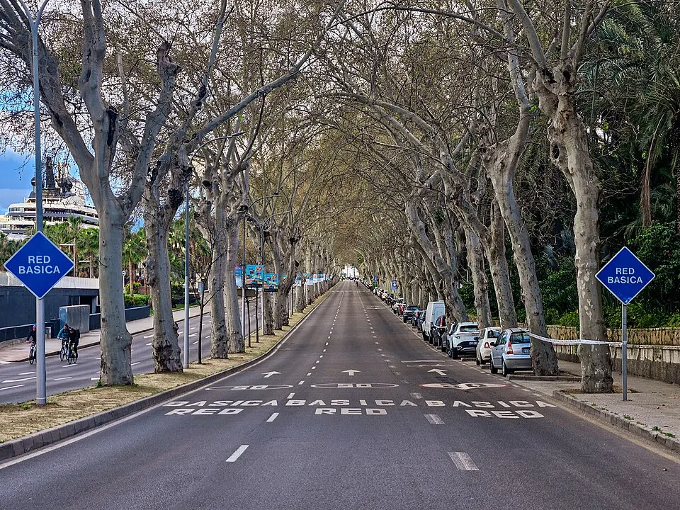 Media Maratón Ciudad de Málaga — foto de la carrera