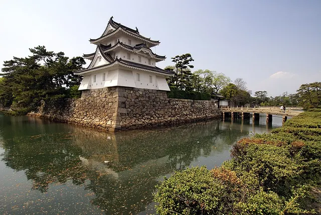 Ảnh giải Cuộc thi Marathon Urashima thành phố Mitoyo lần thứ 8