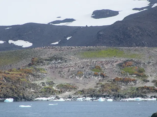 Antarctica Marathon®, Half-Marathon and Ultra-Marathon race photo