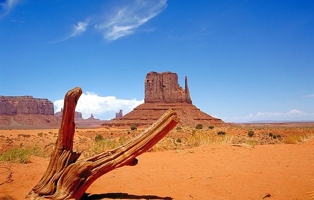 Foto lomba Monument Valley Veterans Marathon & Half Marathon