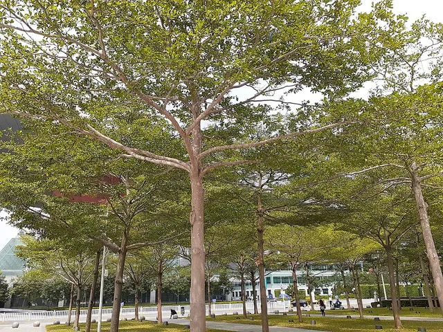 ภาพงานวิ่ง FHFN· 智慧宝安·城市超跑(8·8全民健身专场)晚场