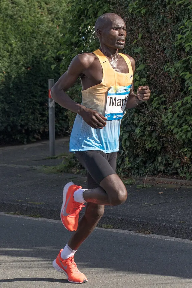 Volksbank Münster Marathon — foto de la carrera