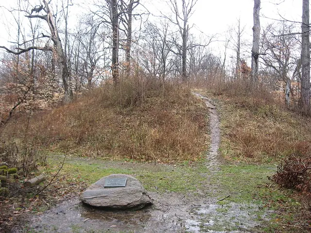 Hueston Woods Trail Race — foto de la carrera