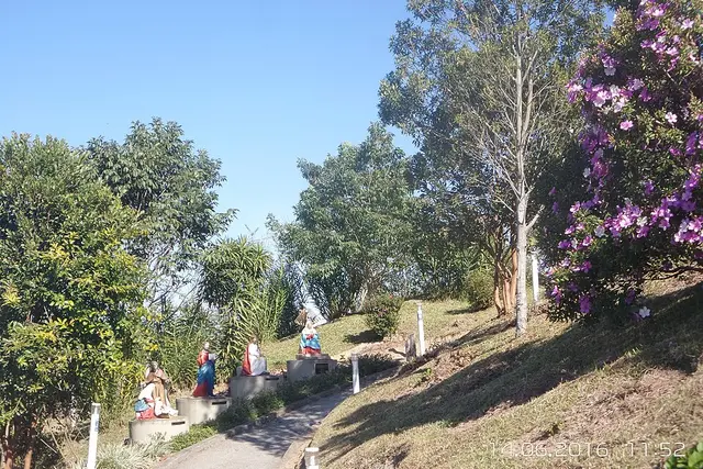 Løbsbillede fra Marathon Criciuma