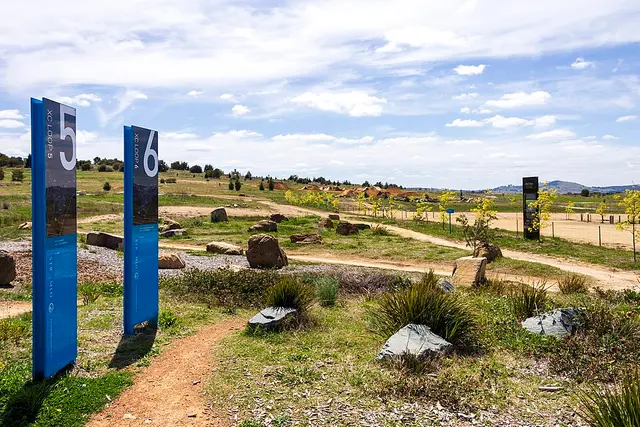Capital Athletics Road Race Championships race photo