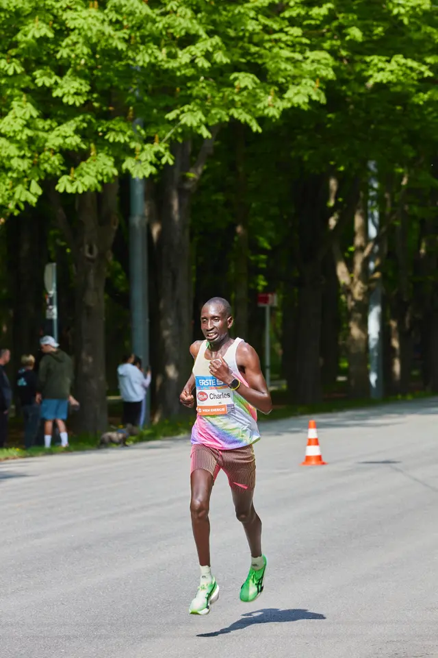 Vienna City Marathon Laufbild