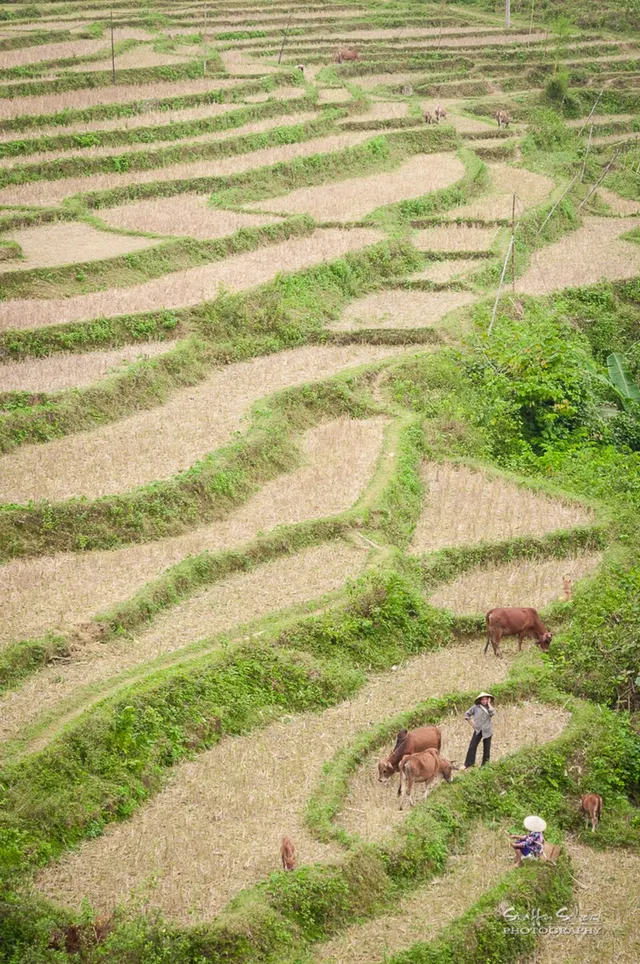 Vietnam Jungle Marathon — foto de la carrera
