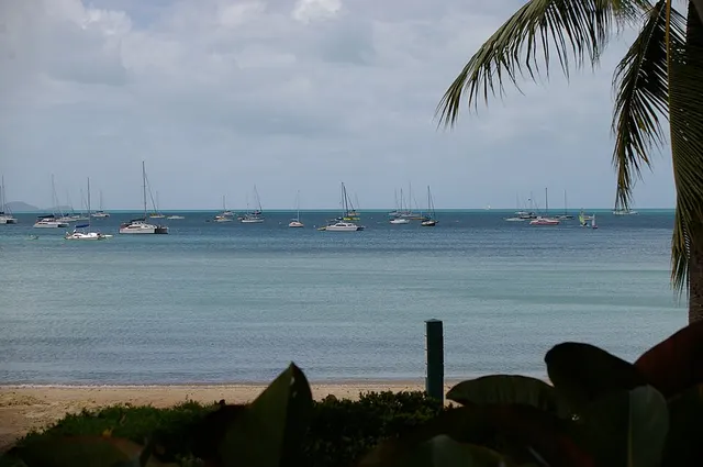 Airlie Beach Lauf-Festival Laufbild