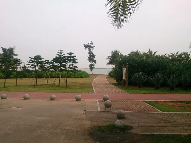 Maratón de Haikou 2026 — foto de la carrera