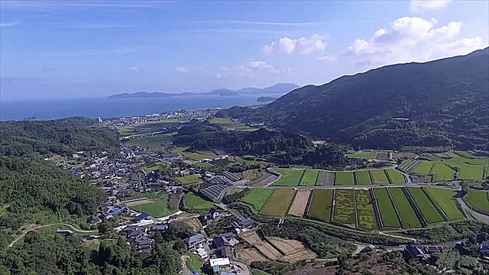 Fukuoka Marathon 2026