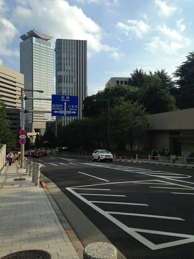 21st Setagaya 246 Half Marathon — photo de la course