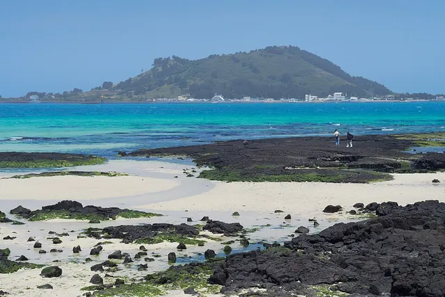 Foto lomba Maraton Internasional Jeruk Jeju 2026