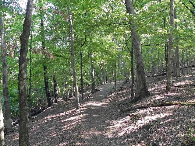 DeClue Loops Trail Race — foto de la carrera