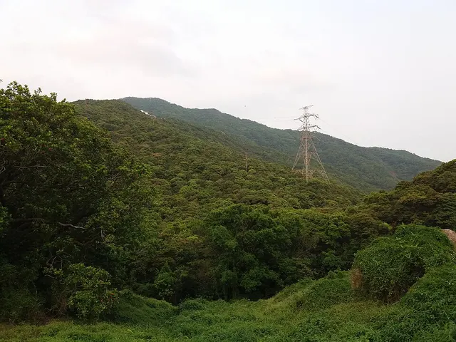Little Hawaii Trail 小夏威夷竞赛 赛事照片