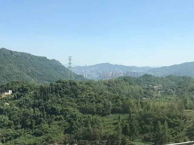 2026 충칭 푸링 바이허량 하프마라톤 대회 사진