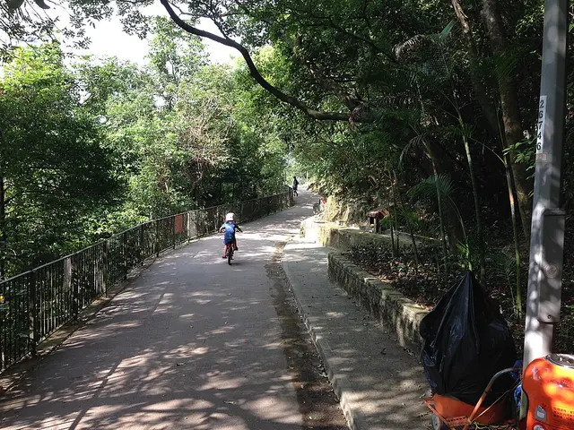 AVOHK 5k series – Race 1 at Bowen Road 賽事照片