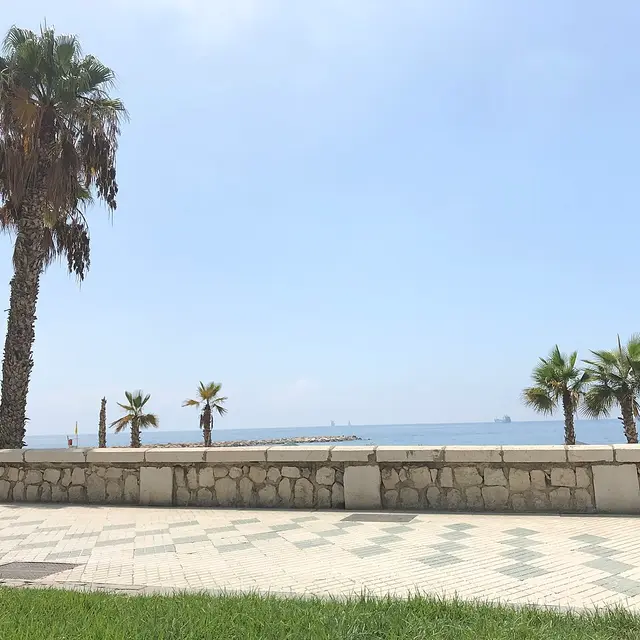 Media Maratón Ciudad de Málaga — foto de la carrera