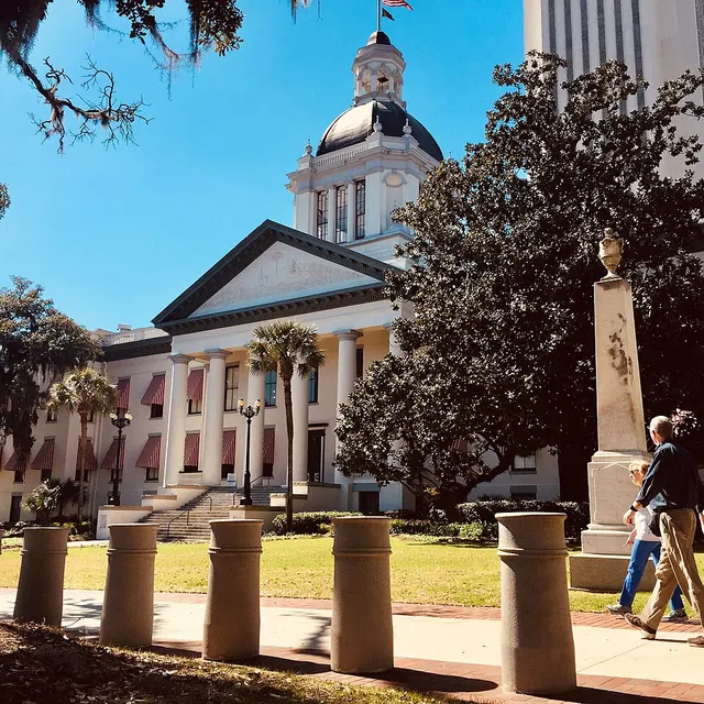 Tallahassee Marathon and Half Marathon — foto da prova