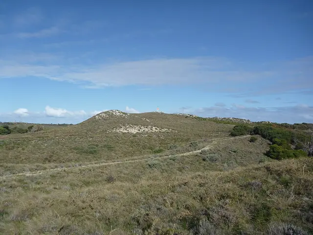 Rottnest Running Festival — foto de la carrera