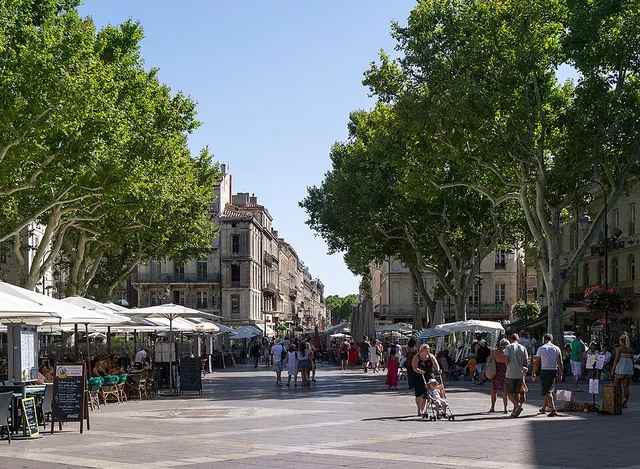 Foto lomba Marathon d'Avignon