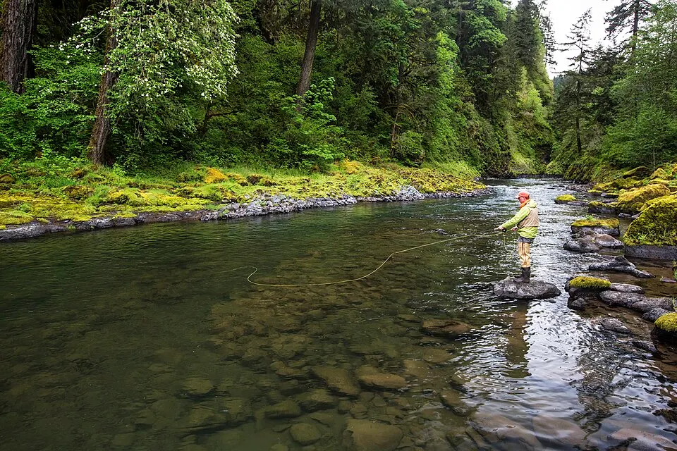 Resurgence Trail Run — photo de la course