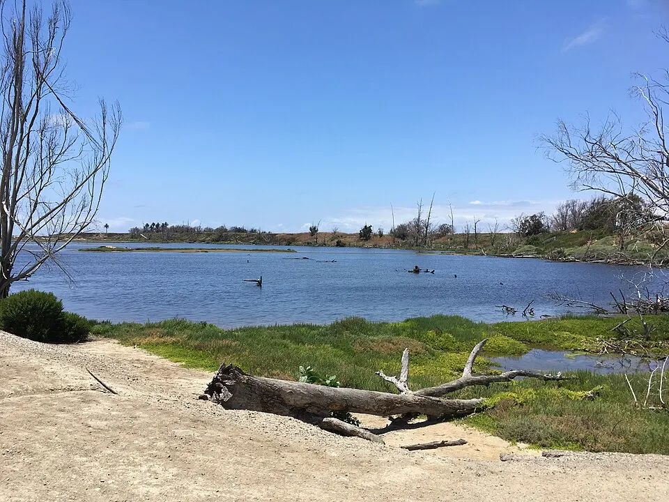 SOCAL 강 마라톤 - 26.2 - 13.1 - 10K - 5K 대회 사진
