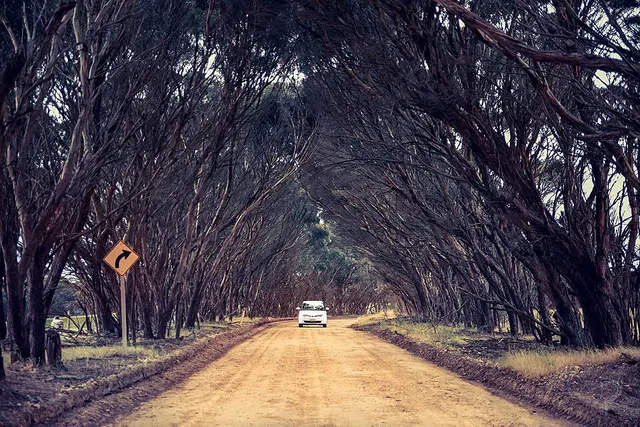 Kangaroo Island Marathon 賽事照片