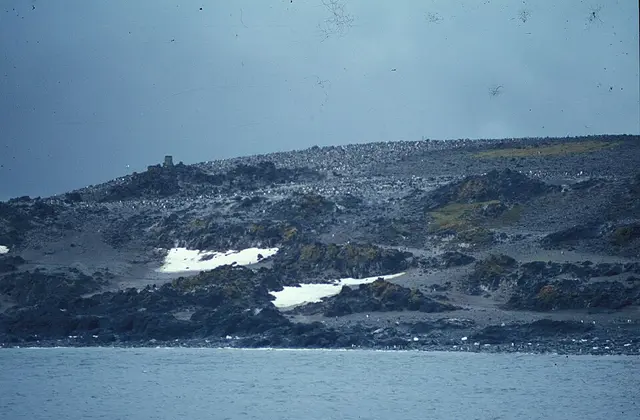 Antarctica Marathon®, Half-Marathon and Ultra-Marathon race photo