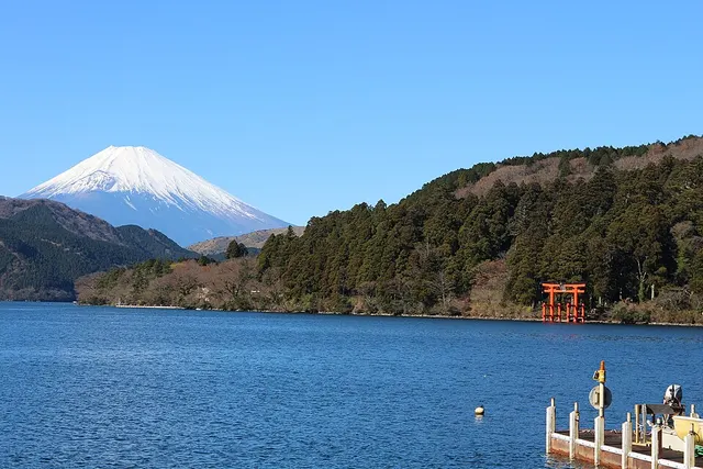 48th Tanzawako Marathon race photo