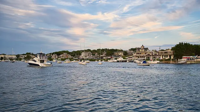 Falmouth Road Race race photo