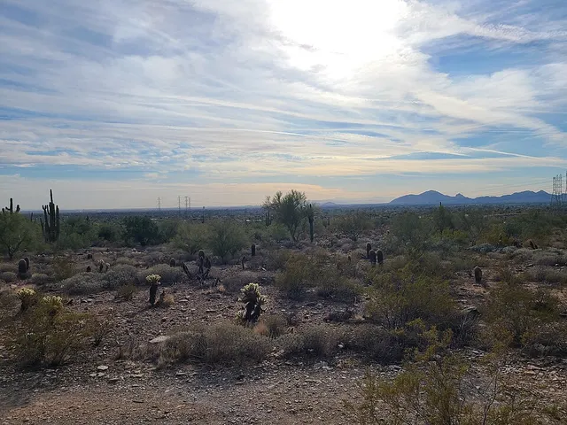 Javelina Jangover Night Runs — foto da prova