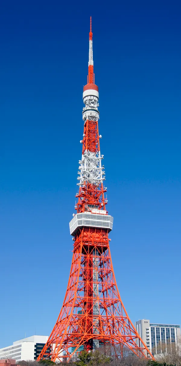 Nouvel An de Tokyo semi-marathon 2027 — photo de la course
