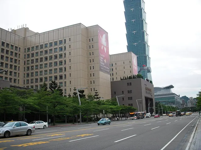 파나소닉 타이페이 시티 런 타이페이 시티 로드 런 경주 대회 사진